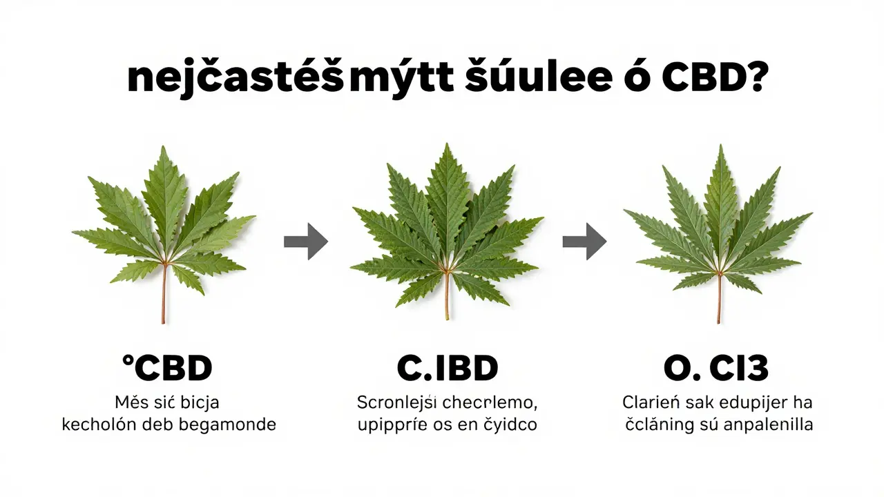 Časté mýty o síle CBD