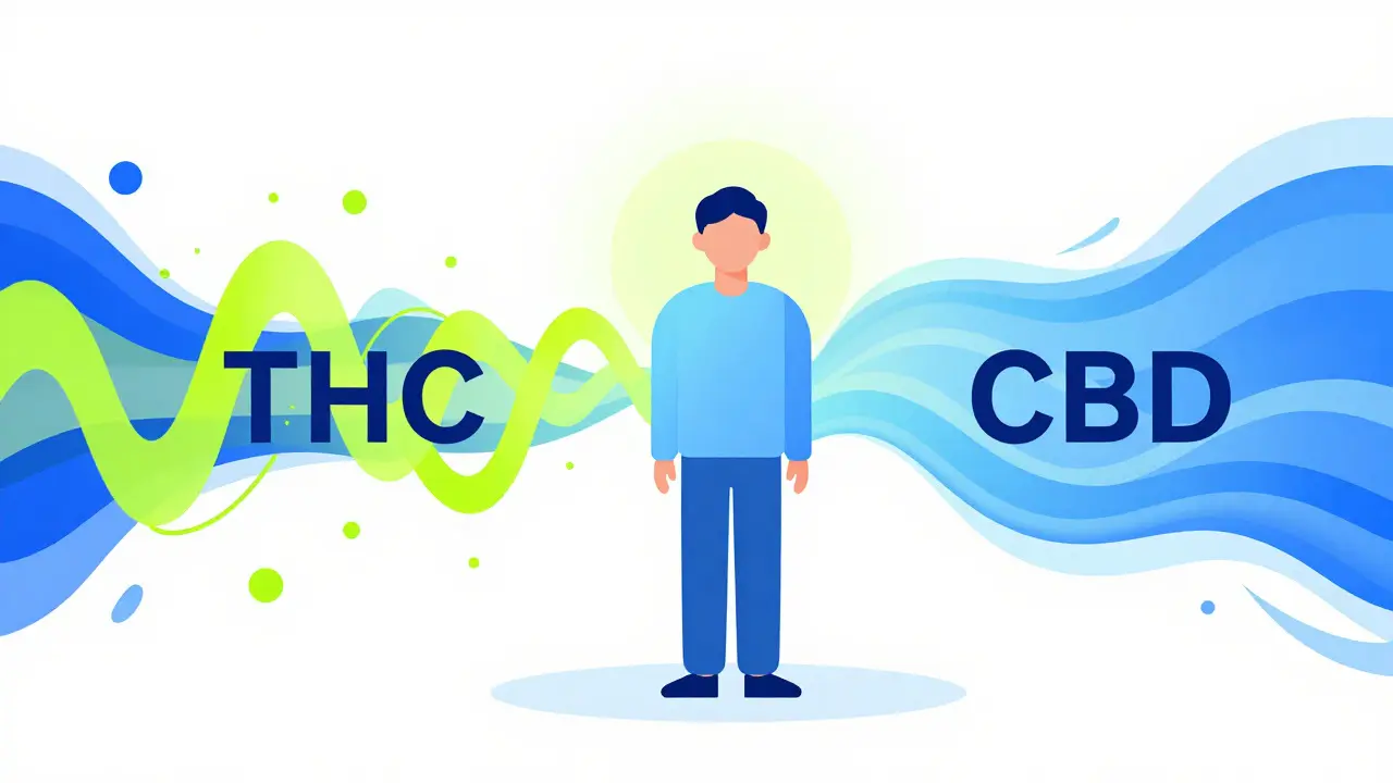 Abstraktní ilustrace srovnávající uklidňující účinek CBD s chaosem THC