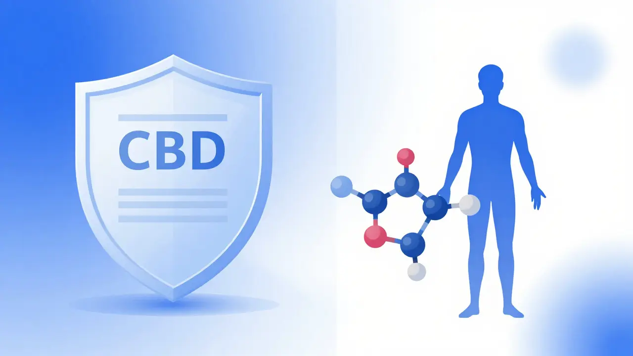 Konceptuální ilustrace bezpečnosti a kvality produktů z konopí s molekulou CBD